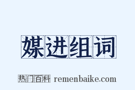 媒进组词是什么意思的图片